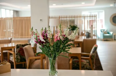Cafe and bar